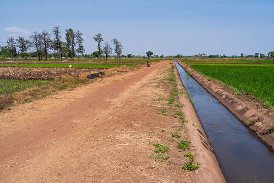 irrigation canal and road cross rice fields of mto wa mbu village in tanzania 