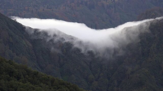 Time lapse of fog rolling like a cloud waterfall over the ridge of a wooded hill in moist air. Rocky terrain, topography, wilderness, and highlands depict rugged regional geology and natural history.