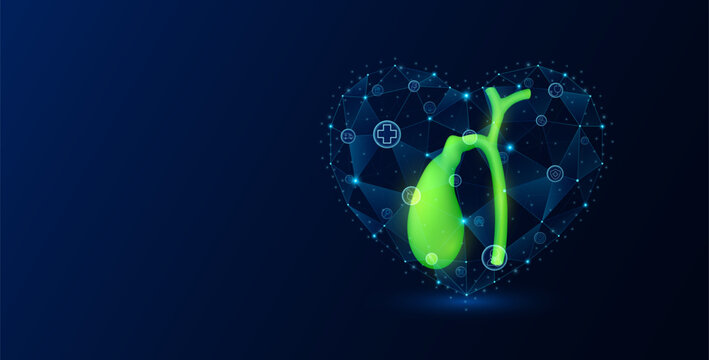 Human organ gallbladder in polygon heart blue glowing transparent. Medical science icons. Protection health care. Banner empty space for text. Vector EPS10.