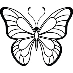Obraz premium Betterfly vector