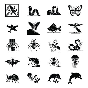 Collection of black and white vector illustration of various insects and arthropods like beetles ants butterflies and spiders