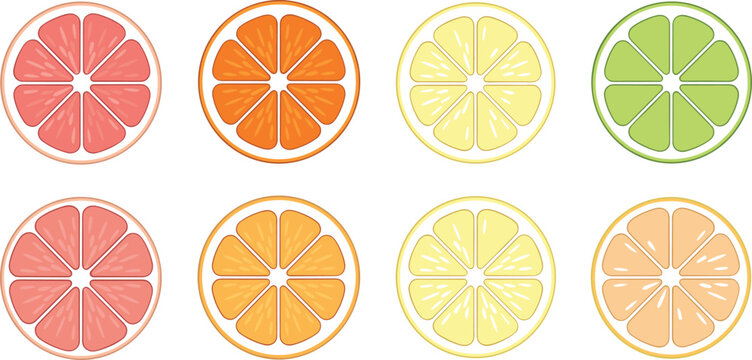 Colorful citrus fruit slices collection with orange, lemon, lime and grapefruit, fresh juicy food illustration set in flat vector style isolated background