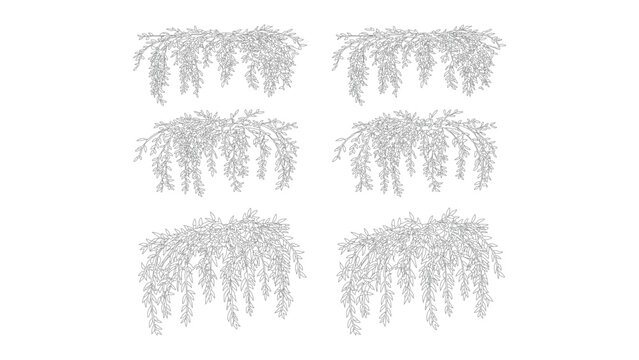 Cascading willow branch outline collection decorative tree leaves transparent background.