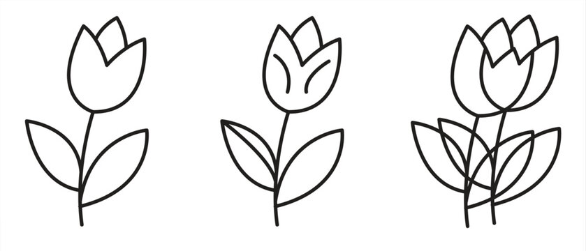 Tulip flower line icon, featuring a variety of beautiful spring flowers in a minimalist style. Isolated on a white background, vector illustration.

