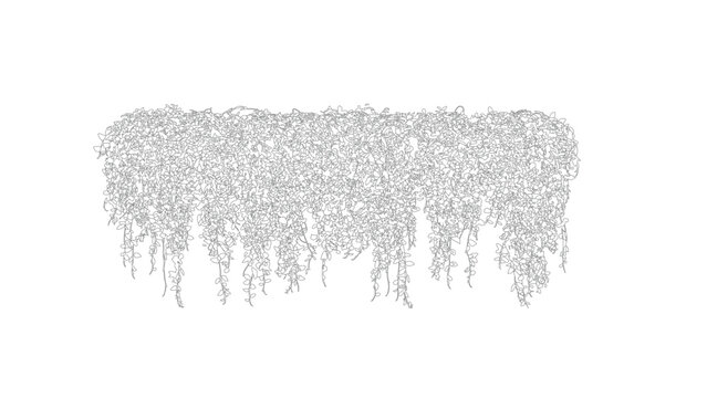 Horizontal hanging plant wall decoration with trailing vines on transparent background.