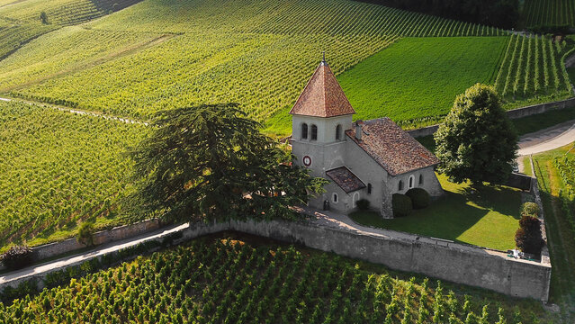 Aerial view of the historic church of Luins surrounded by lush green vineyards and rolling hills under warm sunlight Luins, Vaud, Switzerland.
