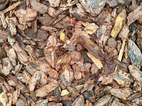 Natural pine bark mulch for garden landscaping background