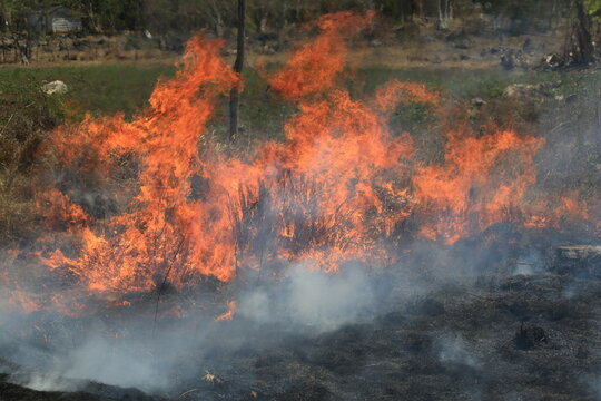 Waldbrand - Naturkatastrophe