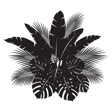 Tropical Palm Tree Leaf Silhouette Illustration.