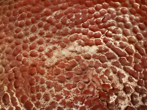 Close up of fruit-skin like texture painted in red and white finish. Embossed and carved with many circular holes. Seamless background texture.