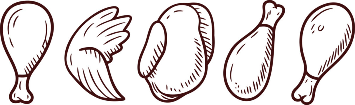 Chicken meat parts illustration including legs thighs wings drumsticks and thighs for food design or recipe use