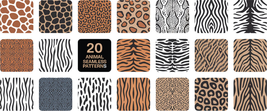 Wild safari animal seamless pattern set leopard cheetah tiger giraffe zebra snake texture vector