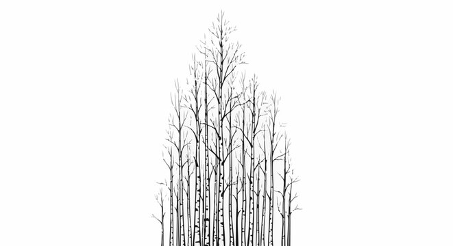 Sparse, stylized birch trees silhouetted against a white background