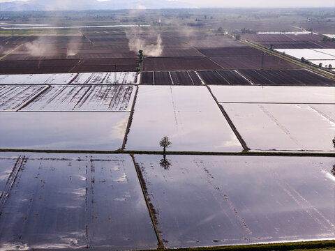 Aerial view of the flooded rice fields of Tenuta Colombara with a lone tree and distant mountains under a hazy sky in Livorno Ferraris, Piemonte, Italy.