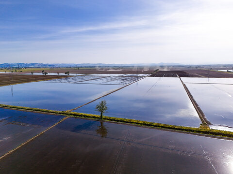 Aerial view of the flooded rice fields of Tenuta Colombara with a lone tree reflecting in the water under a clear sky in Livorno Ferraris, Piemonte, Italy.