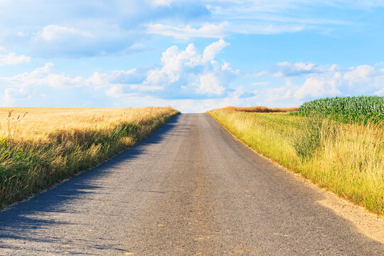 Wide road stretches ahead between fields of wheat and corn on a sunny day with blue sky and clouds in background