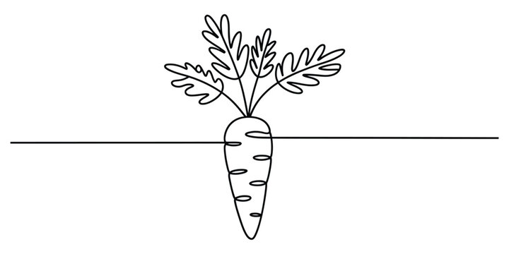 Continuous single line drawing of a fresh carrot vegetable