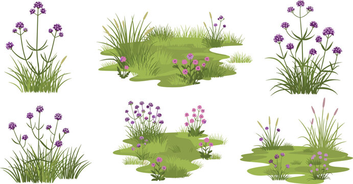 Wild Purple Flower and Grass Meadow Scene Set Wetland Nature Flat Vector Illustration Collection Isolated