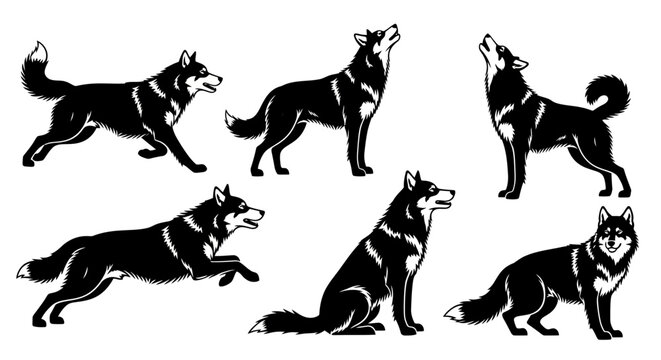 Set of Black and White Wolf Silhouettes in Various Poses