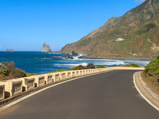 Fototapeta premium palms at highly popular beach las Teresitas, Tenerife, Spain