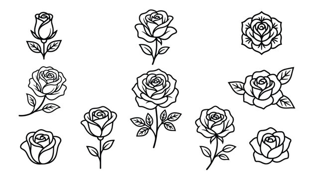 Collection of rose flower outlines vector graphics on transparent background.