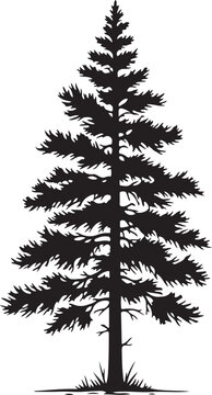 Black silhouette of a pine tree on white background
