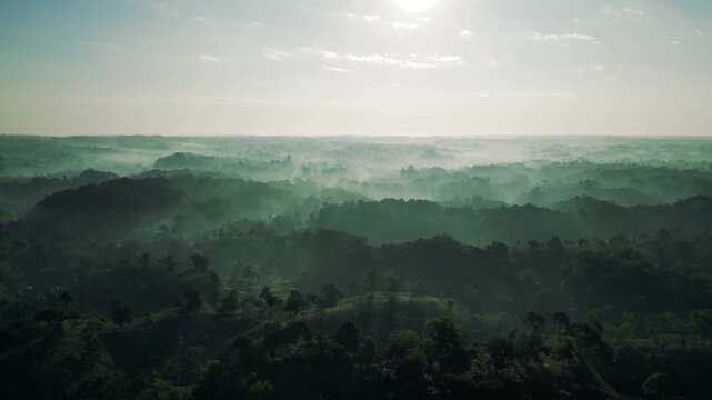 Tea Garden Sreemngal, Sylhet Bangladesh