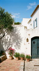 Fototapeta premium Mediterranean courtyard background with Mediterranean courtyard, white villa, green door and potted flowers
