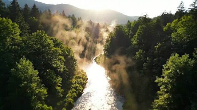 Misty forest river at sunrise with sun rays breaking through trees