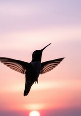 Fototapeta premium Hummingbird silhouette flies against a soft sunset sky.