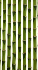 Obraz premium Bamboo Stems, Green Bamboo Stalks, Natural Bamboo Texture, Vertical Bamboo Pattern