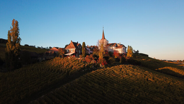Aerial view of Fechy-Dessus village and its church spire surrounded by golden vineyards on a hillside under a clear sky Fechy, Vaud, Switzerland.