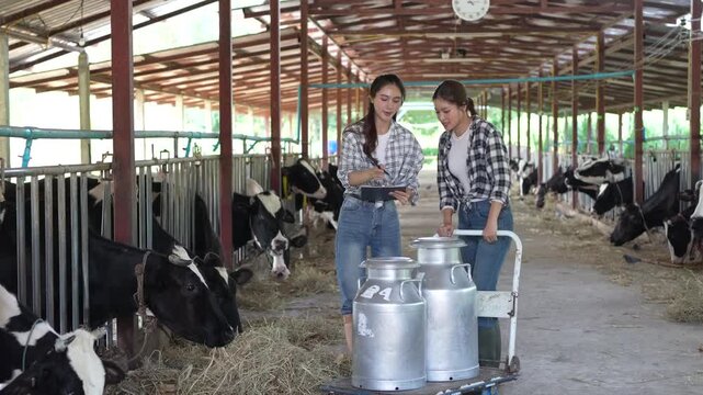 Two Farmer woman pushing and checking Milking tank walking together come to the storage tank to prepare for delivery to the processing process. Milking management Procedure. Agriculture industry