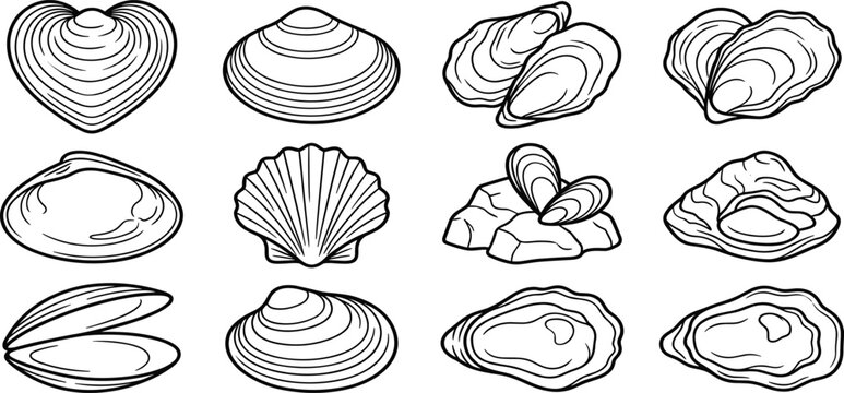 Collection of black and white line drawings of various shellfish including clams, oysters, and mussels on a white background