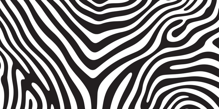 Bold black and white zebra stripe pattern, swirling curves and lines, energetic abstract background.