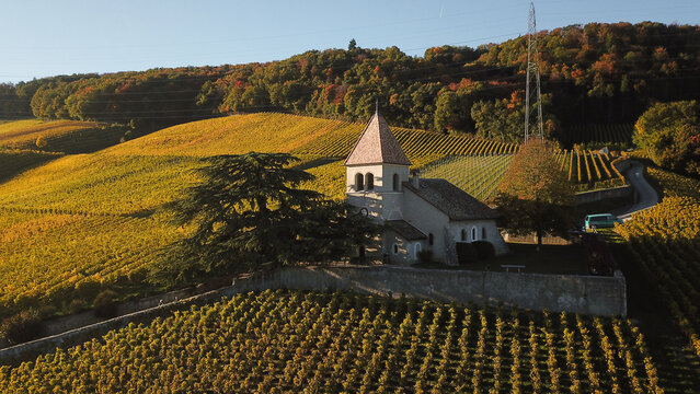 Aerial view of Fechy-Dessus church surrounded by golden autumn vineyards and lush forests under warm sunlight in Fechy, Vaud, Switzerland.