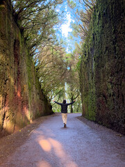 Fototapeta premium Wild nature of Anaga relict forest with natural path, Tenerife, Spain