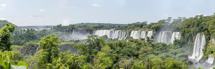 sequence of jumps, from Bossetti to san Martin, amidst lush subtropical rain forest vegetation at nature park, Iguazu Waterfalls, Argentina © hal_pand_108