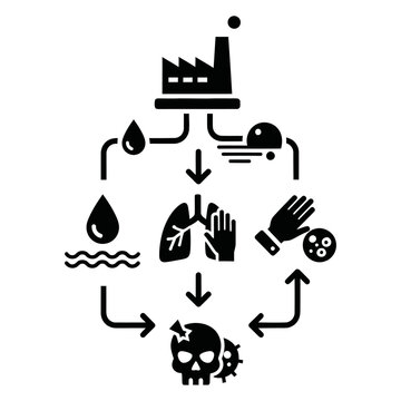 Toxin Flow Diagram Factory Pollution to Human Health Impact