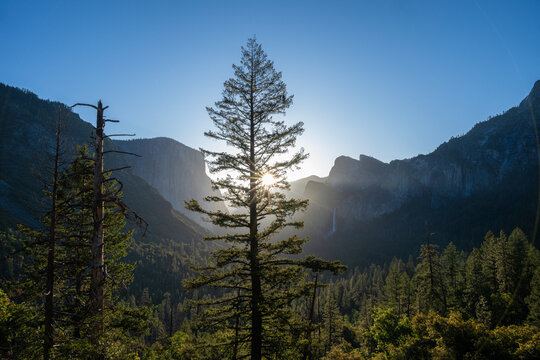 Tunnel View with Sunstar