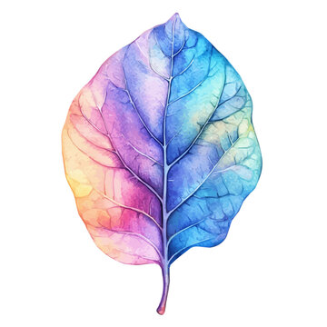 Fig Leaf, clean semi-realistic fantasy style, soft magical glow, watercolor artwork, white backgroundv