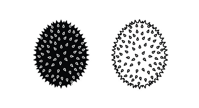 Two detailed illustrations of sea cucumbers with spiky textures on a white background