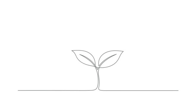 Young plant seedling with two leaves in simple continuous line art style