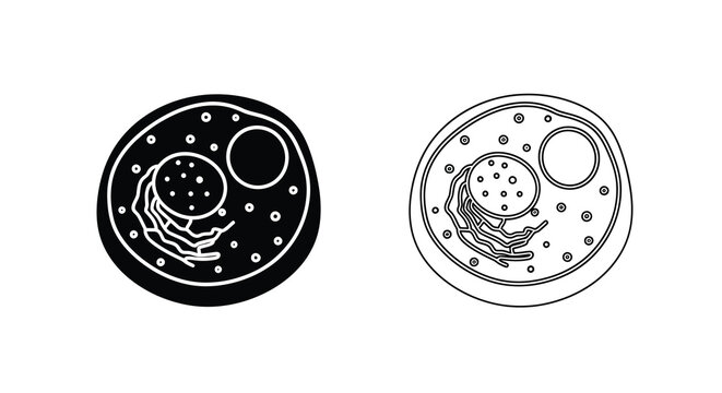 Detailed illustrations of paramecium structures a comparative microscopic view