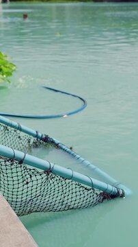 Vertical video. Fishing Landing Net Partially Submerged At Edge Of Lake With Calm Water And Distant Swimmers In Background, Leisure Outdoor Activity