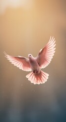 Fototapeta premium Pink dove in mid-flight with wings fully extended for peace advocacy campaigns, spiritual imagery and tranquil greeting cards against a soft haze background
