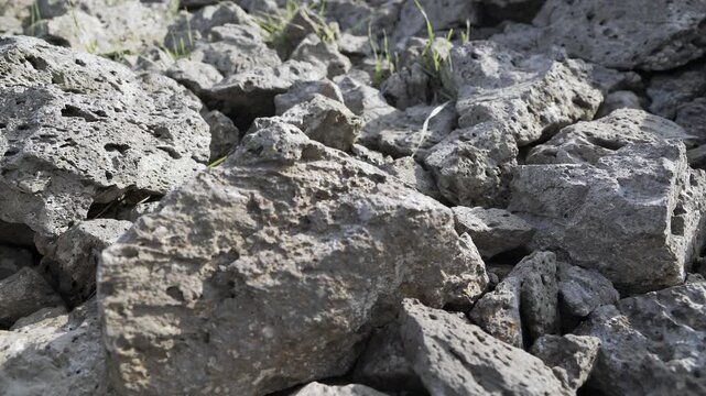 Basalt lava plain with porous volcanic rocks and sparse vegetation forms a harsh landscape. Dark igneous stone, cracked ground, weathered magma textures reveal raw geologic terrain.
