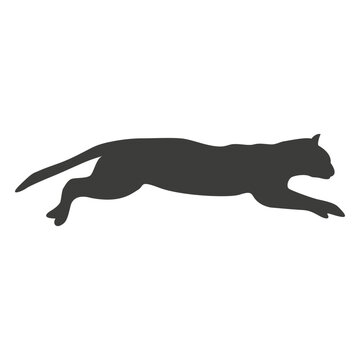 Cat running sequence 10