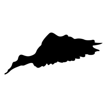 Dove flying sequence 3