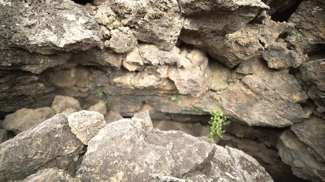 Basalt lava plain with porous volcanic rocks and sparse vegetation forms a harsh landscape. Dark igneous stone, cracked ground, weathered magma textures reveal raw geologic terrain.